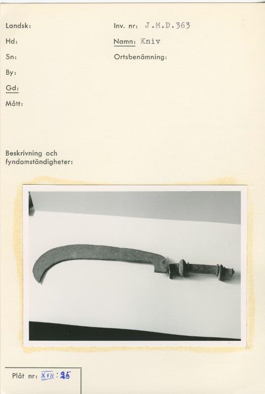 link to gallery