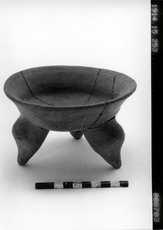 link to gallery