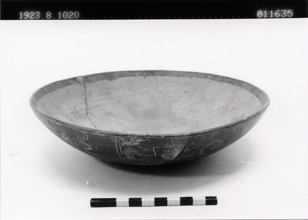 link to gallery