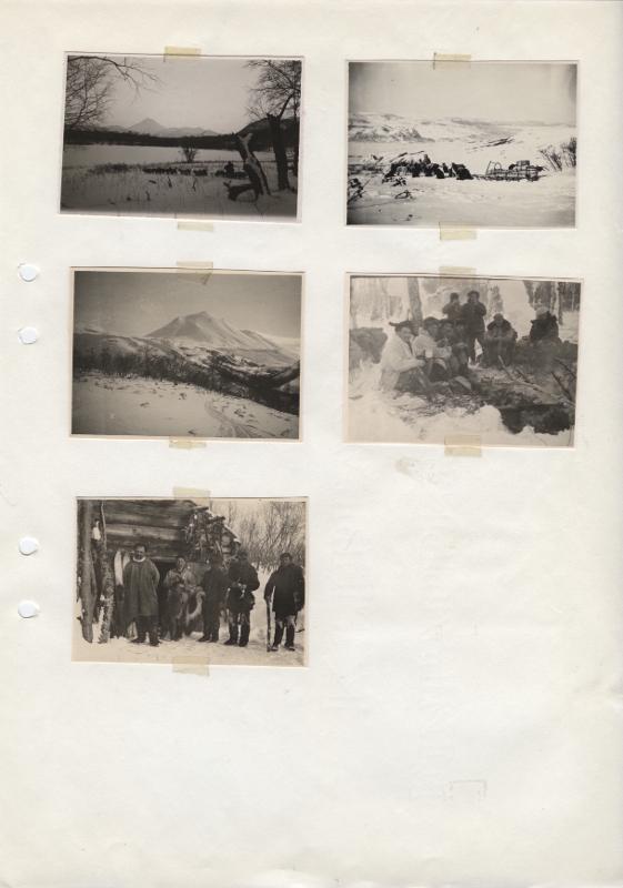 link to gallery