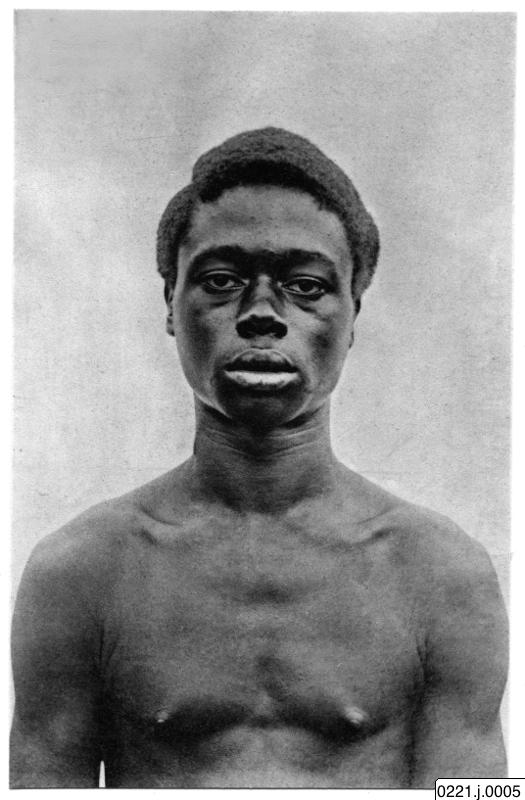 porträtt, fotografi, photograph