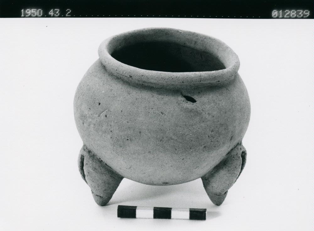 link to gallery
