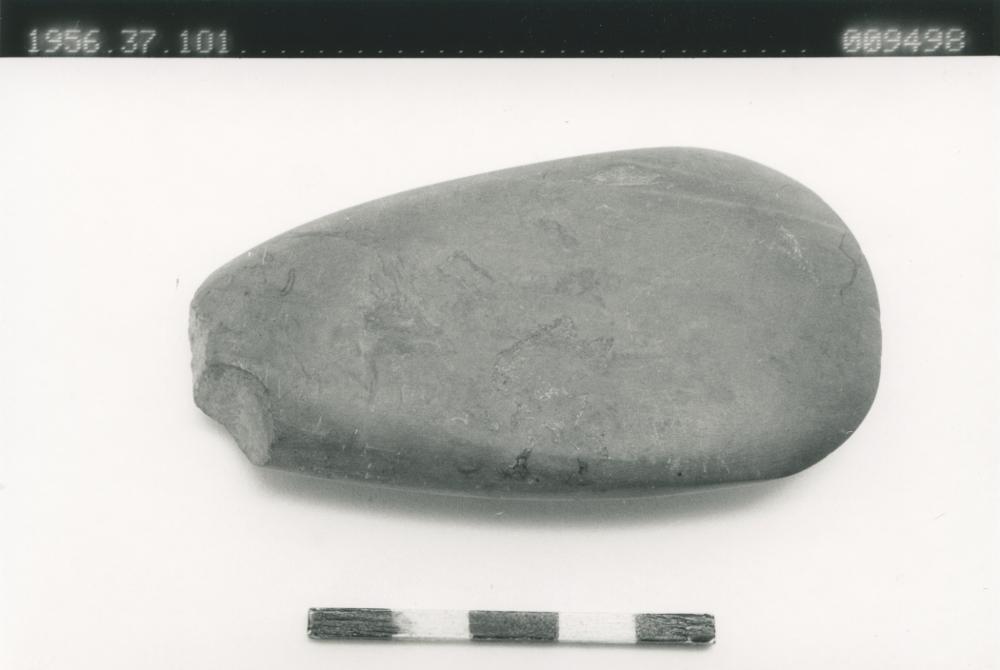 link to gallery