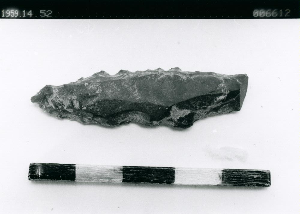 link to gallery