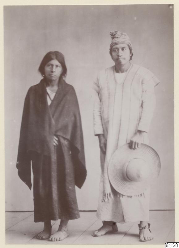porträtt, fotografi, photograph