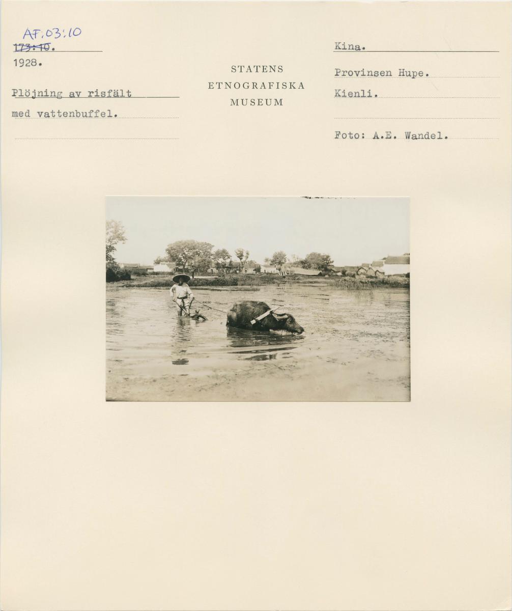 link to gallery