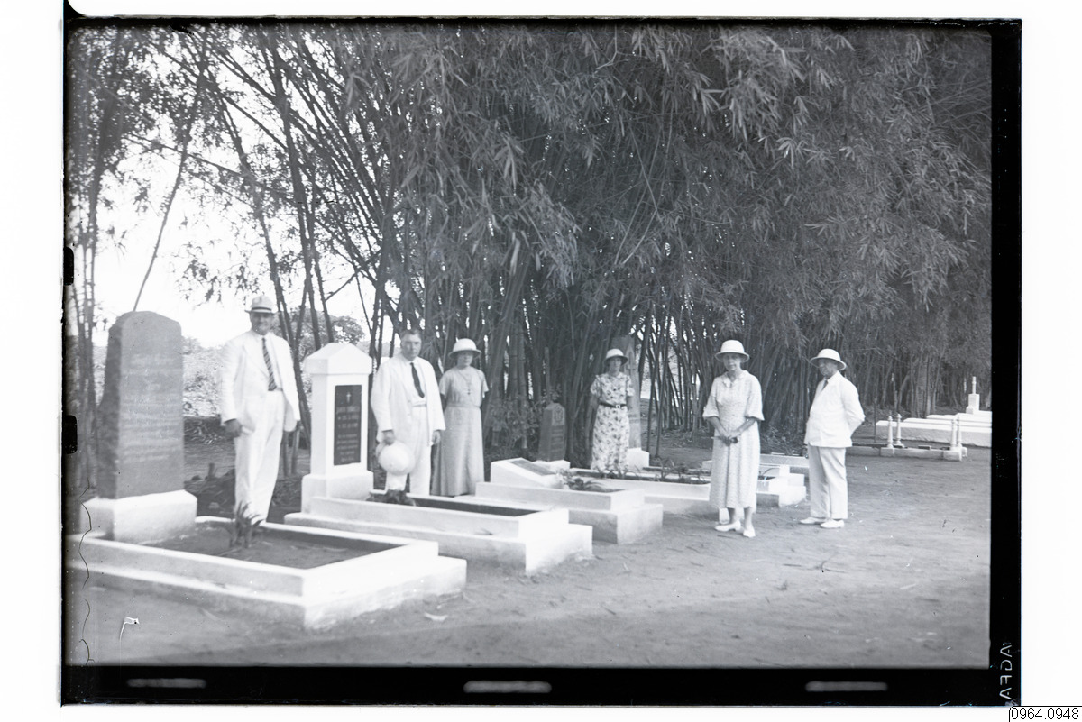 link to gallery