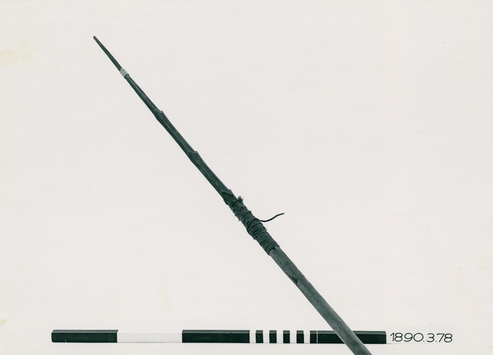 link to gallery