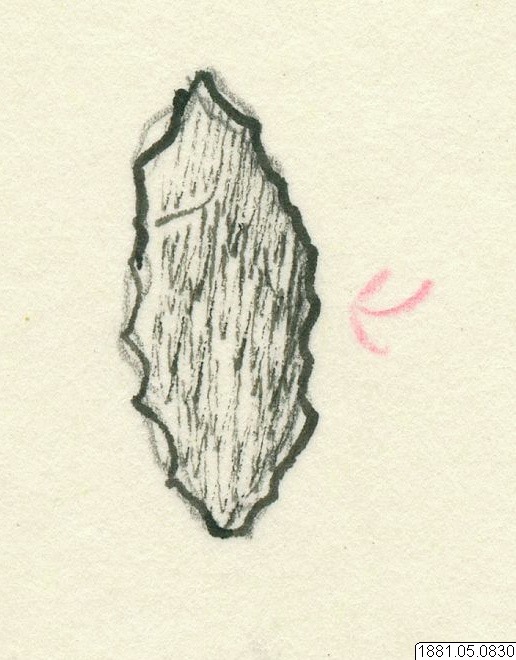 link to gallery