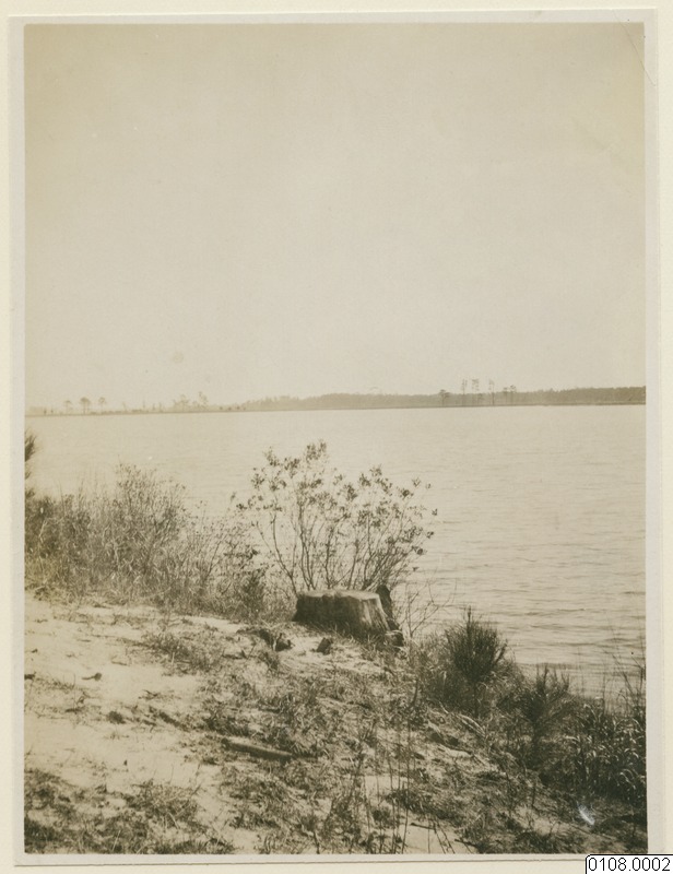 link to gallery