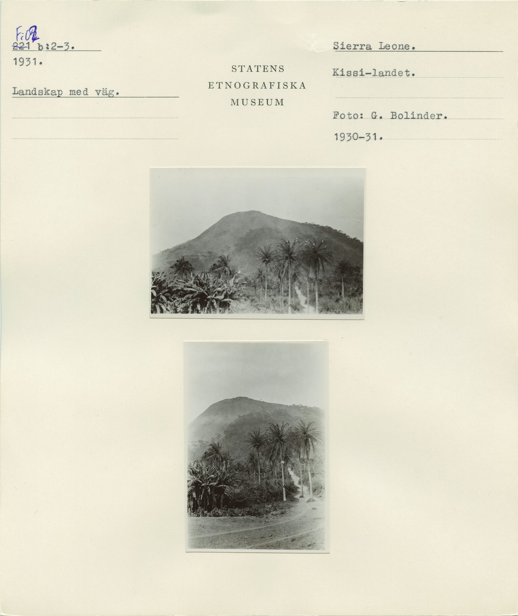 link to gallery