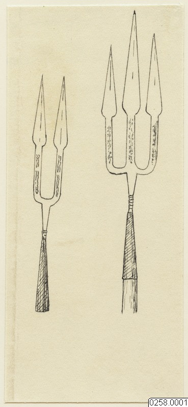 spjut, Teckning, drawing