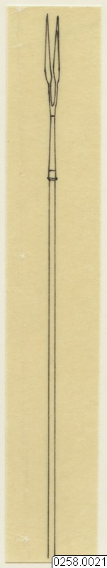spjut, Teckning, drawing