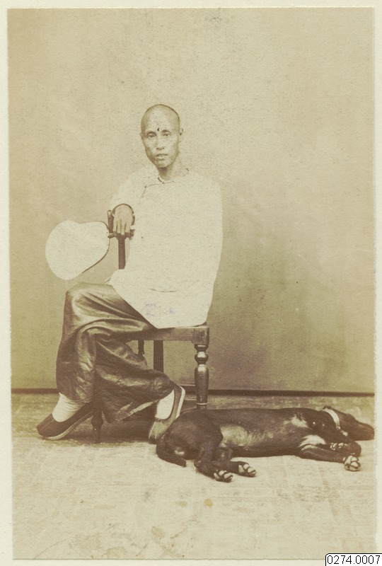 porträtt, stol, man, fotografi, photograph