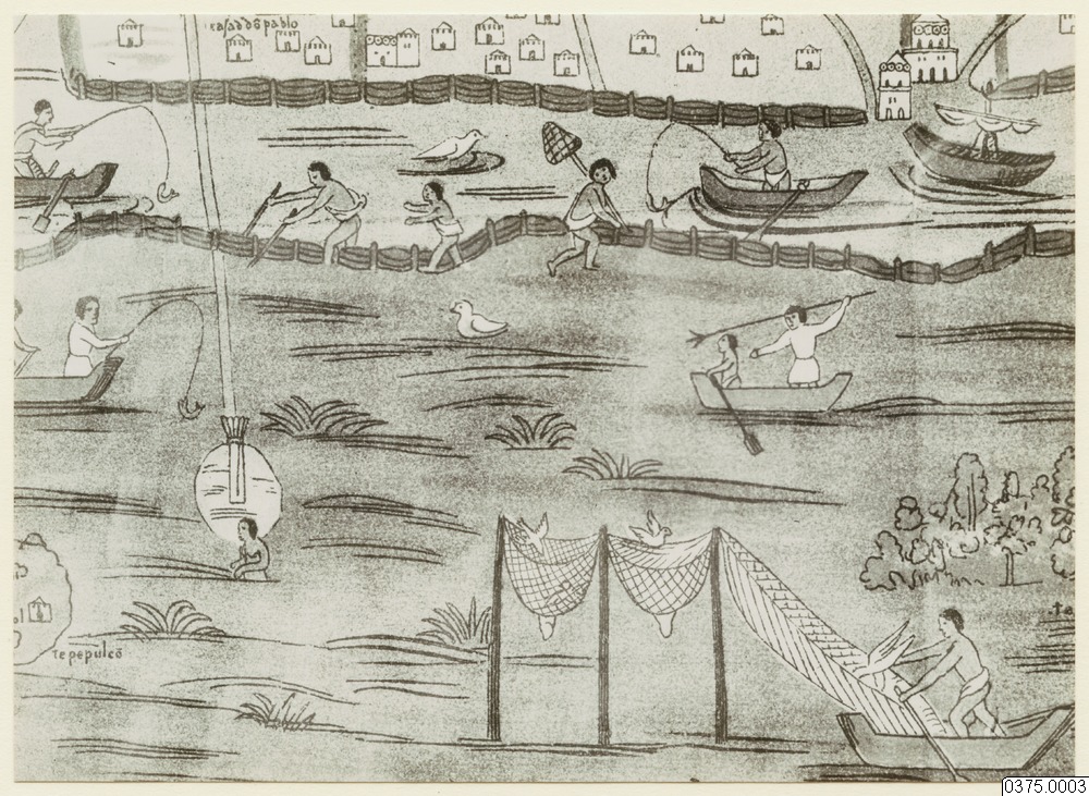 illustration, teckning, jakt, Teckning, drawing
