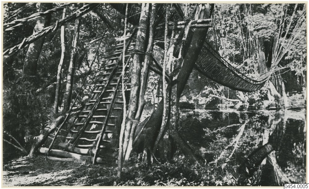 link to gallery