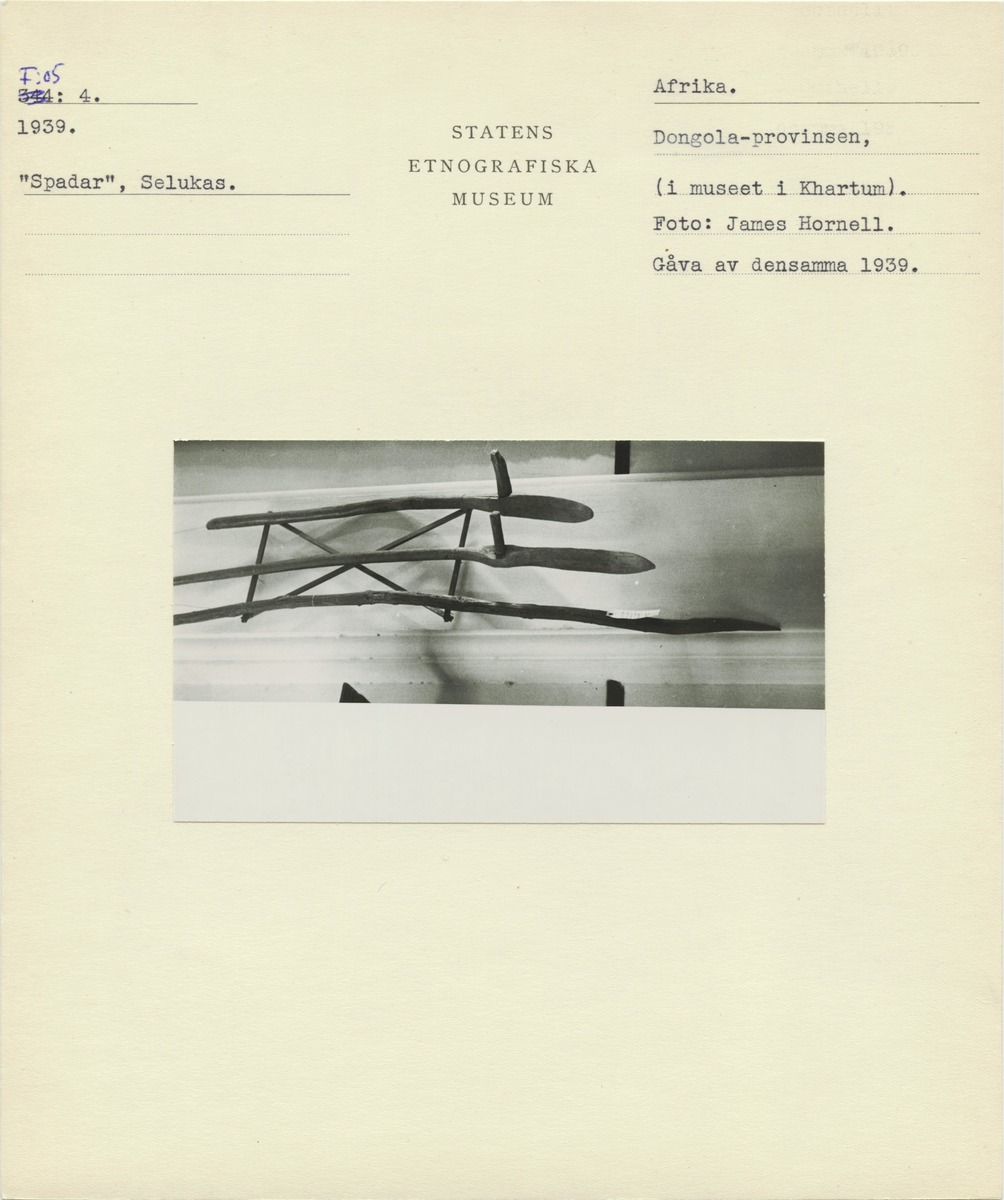 link to gallery