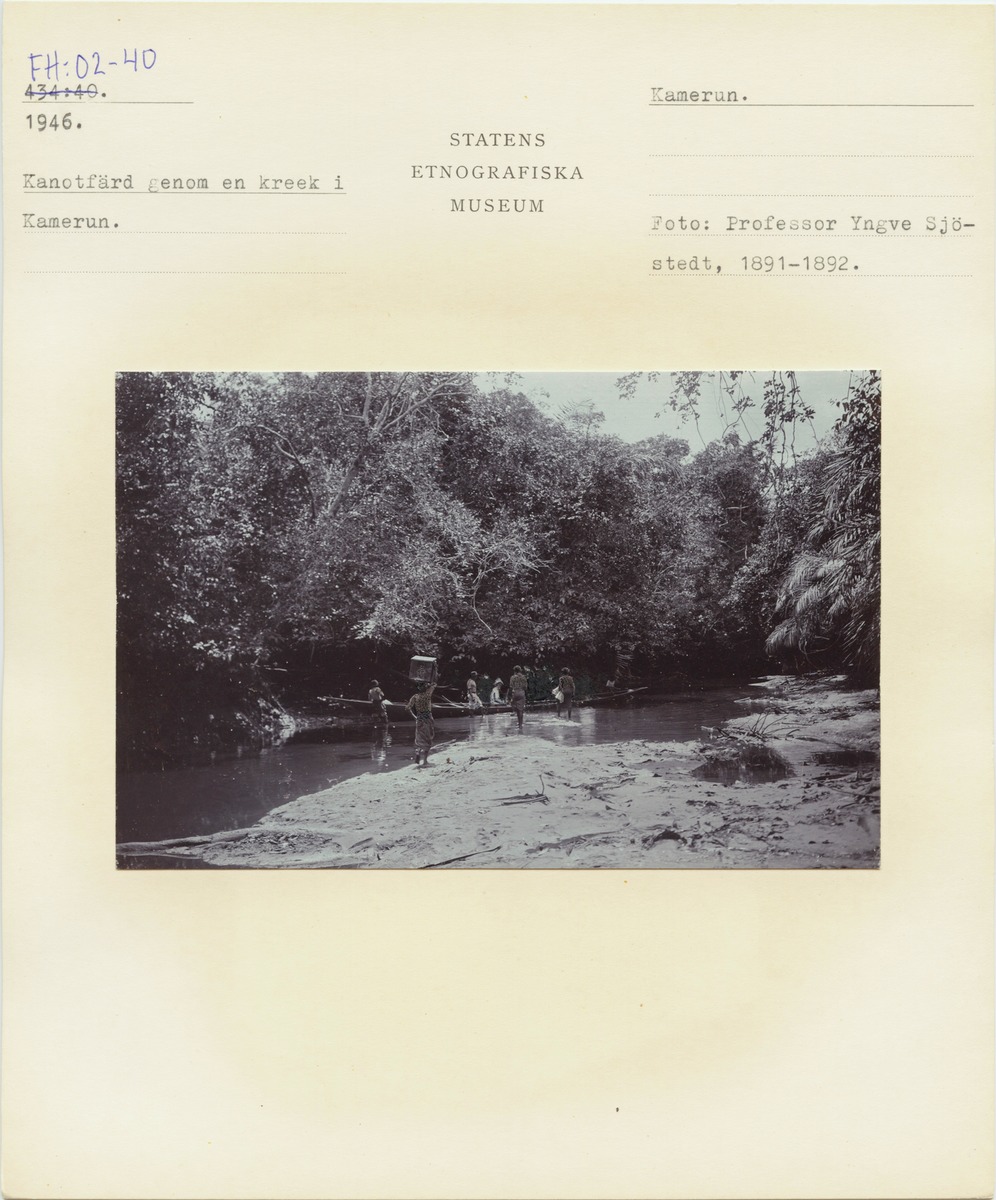link to gallery