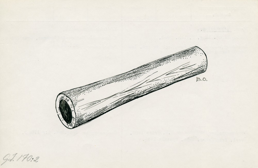 link to gallery