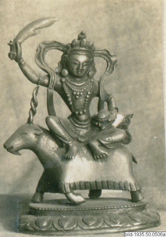 link to gallery
