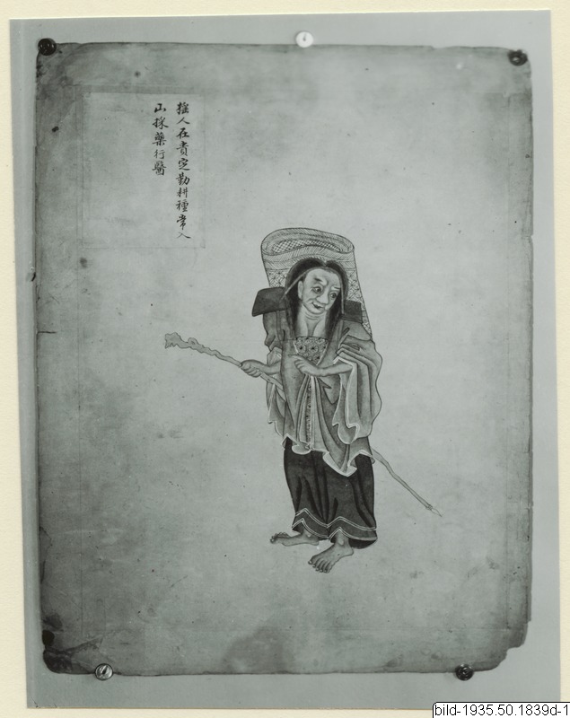 link to gallery