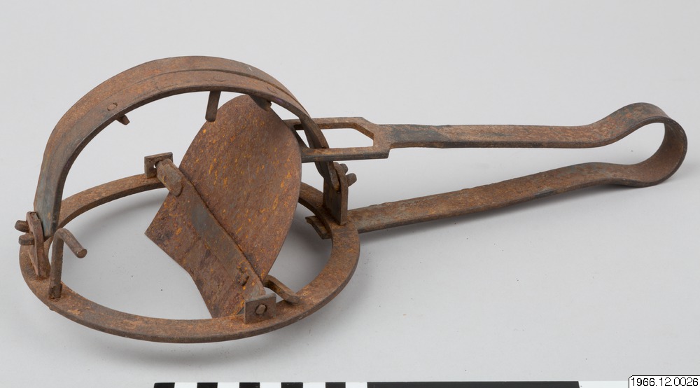 link to gallery