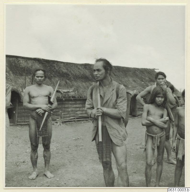 link to gallery