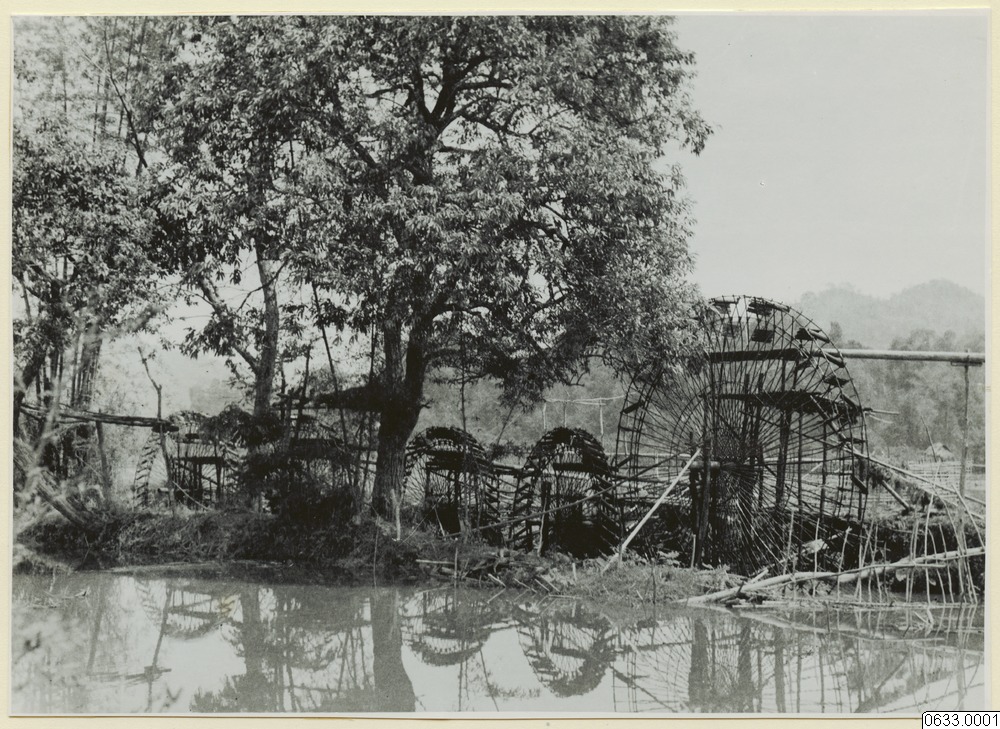 link to gallery