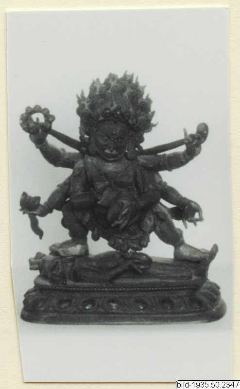 link to gallery