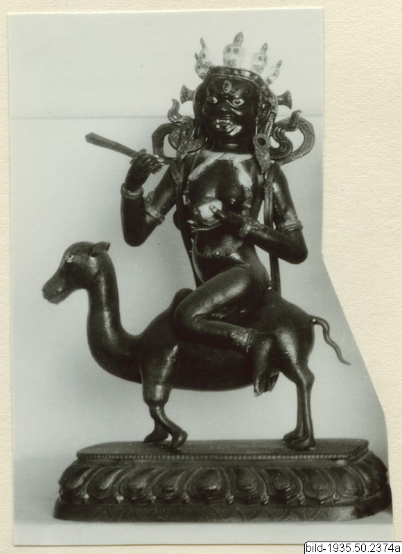 link to gallery