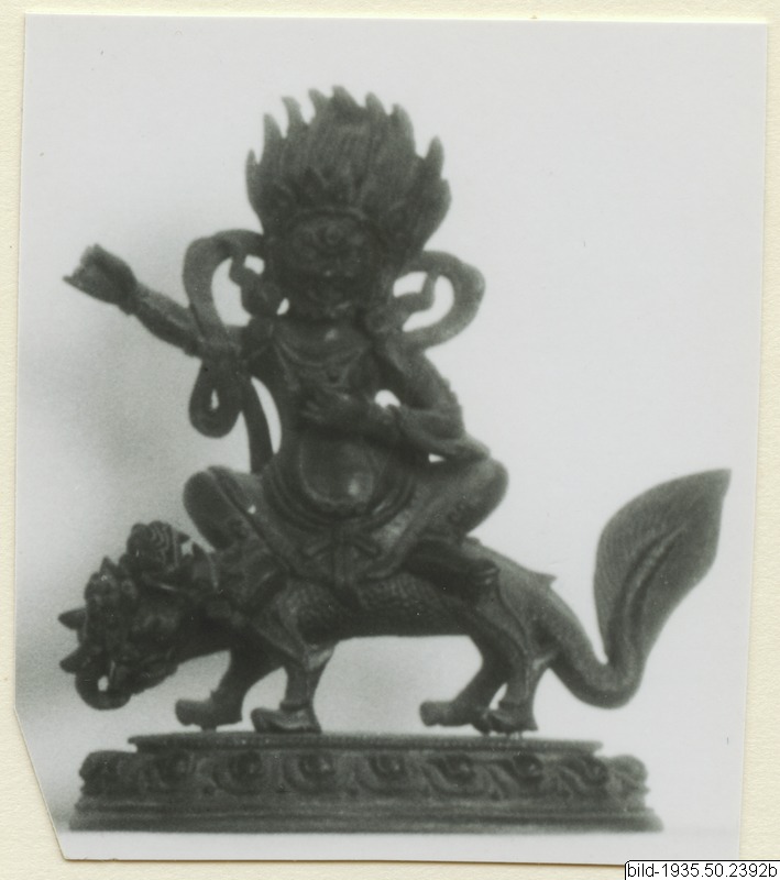 link to gallery