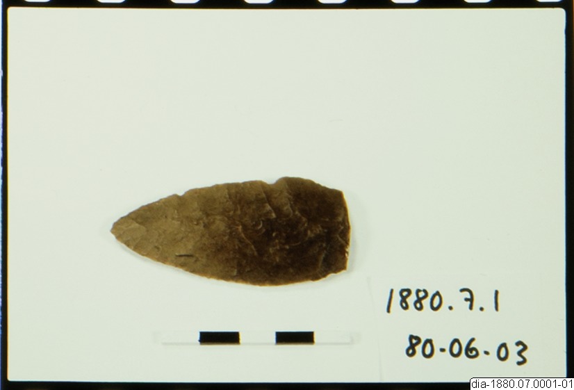 link to gallery