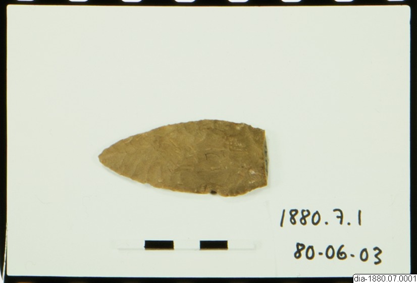 link to gallery