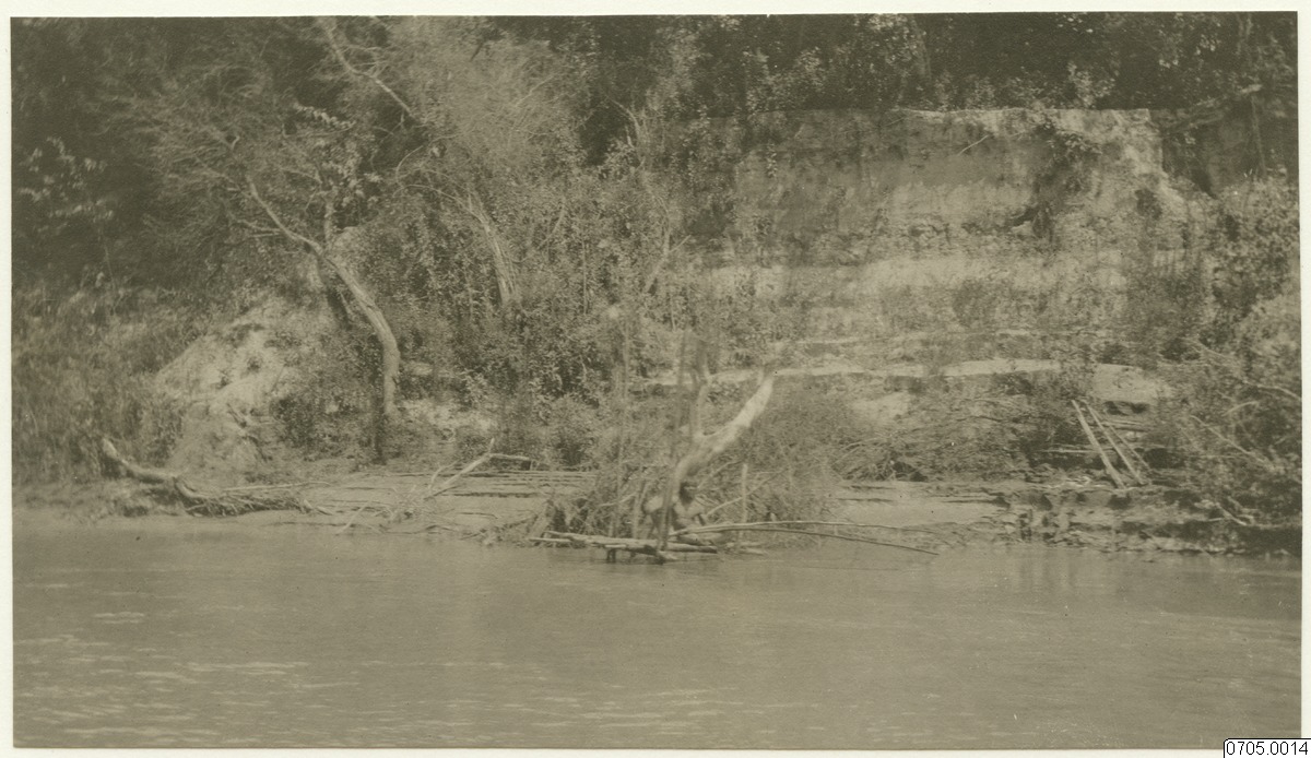 link to gallery