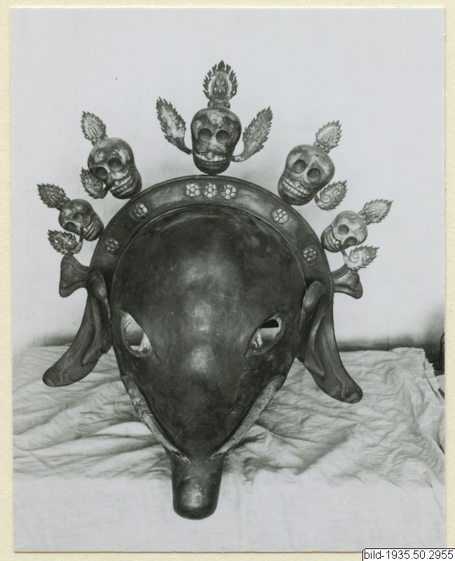 link to gallery