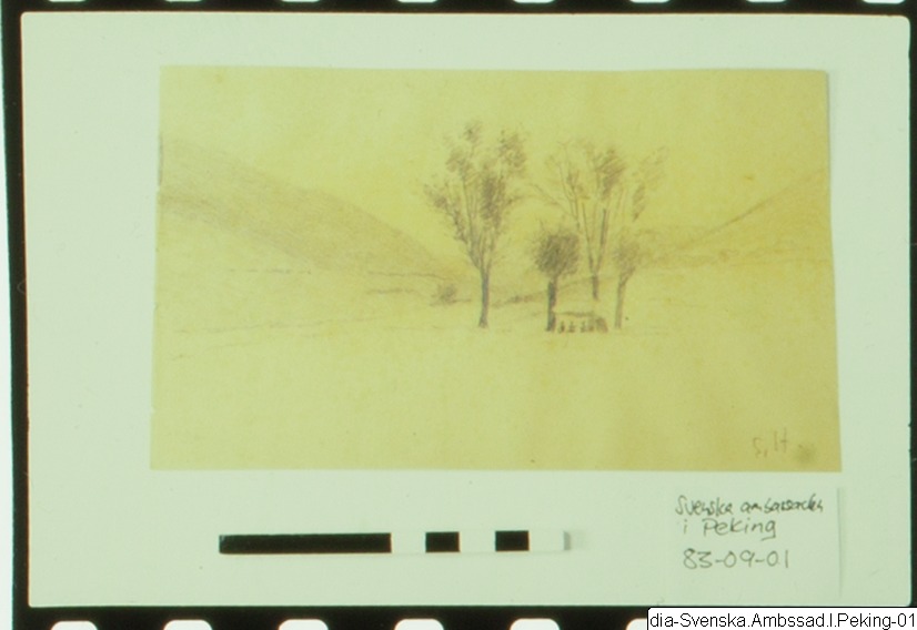 föremålsbild, fotografi, photograph