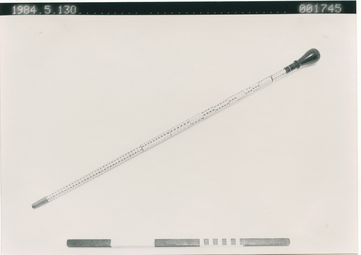 cane