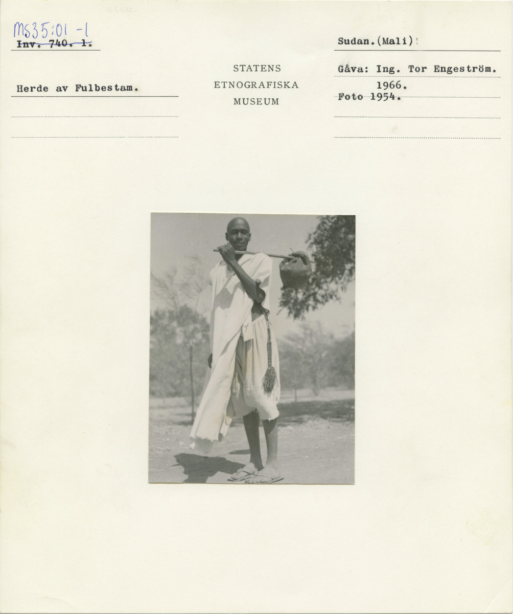 link to gallery