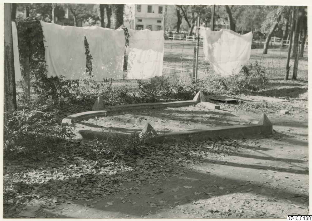 link to gallery