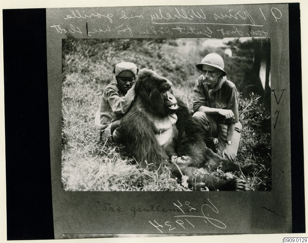 man, porträtt, fotografi, photograph