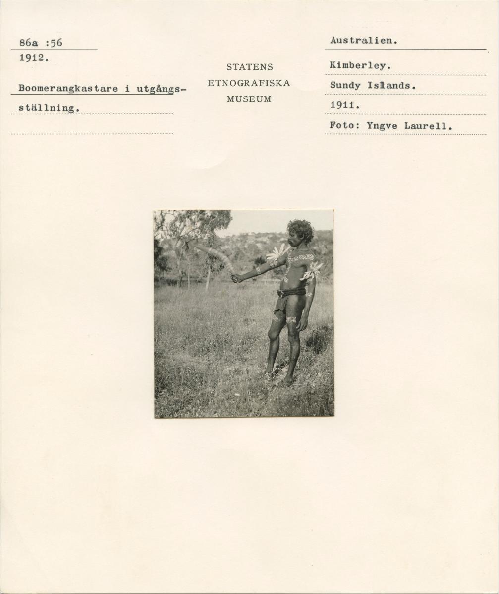 link to gallery