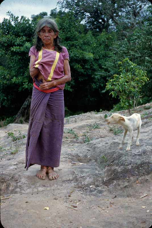 porträtt, kvinna, hund, fotografi, photograph