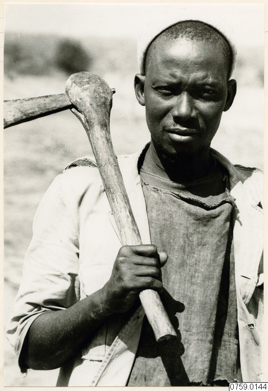 porträtt, fotografi, photograph