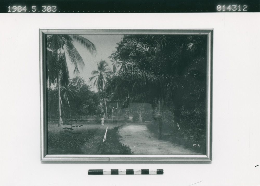 link to gallery