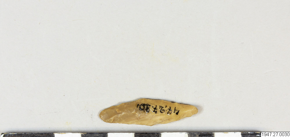 link to gallery