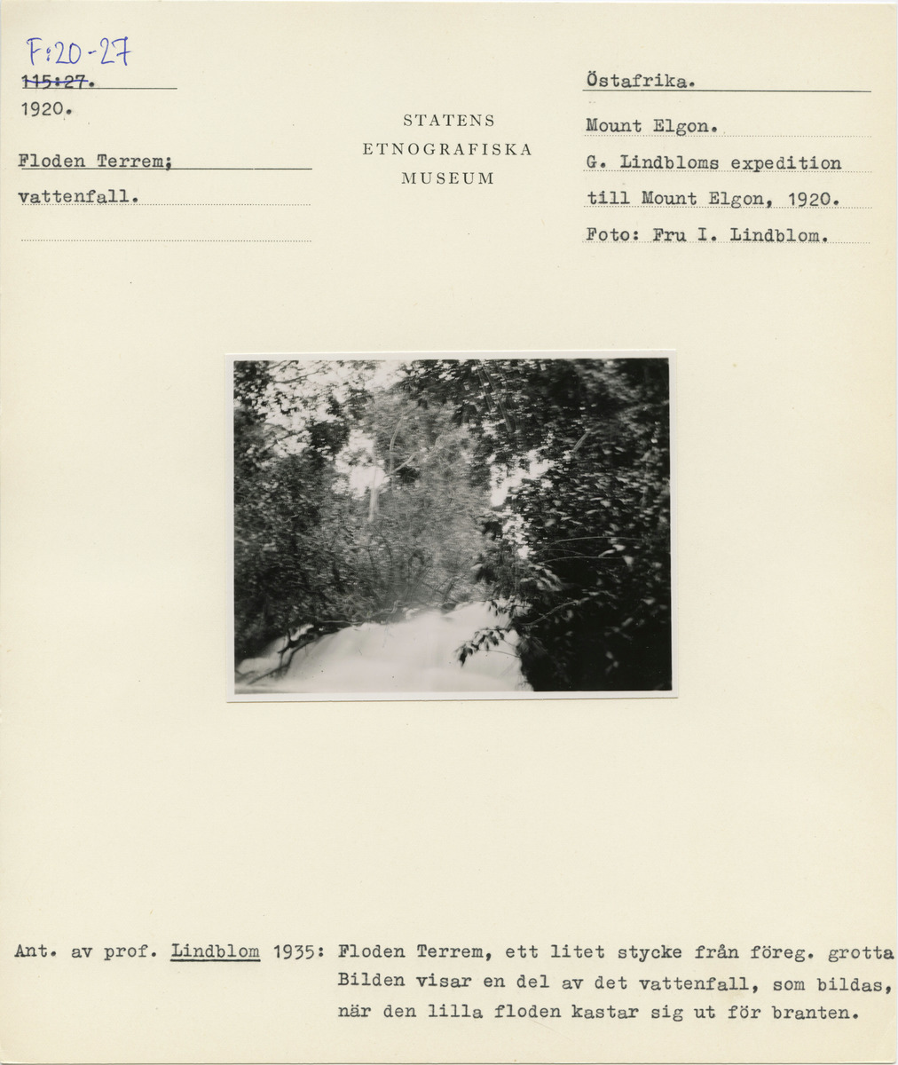 link to gallery