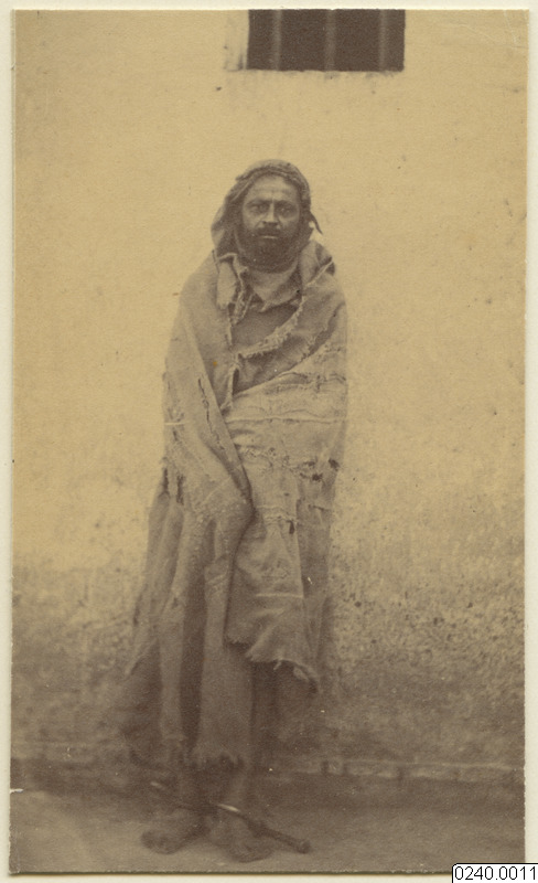 porträtt, fotografi, photograph