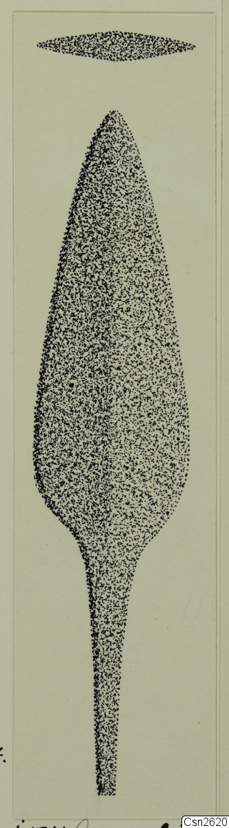 link to gallery