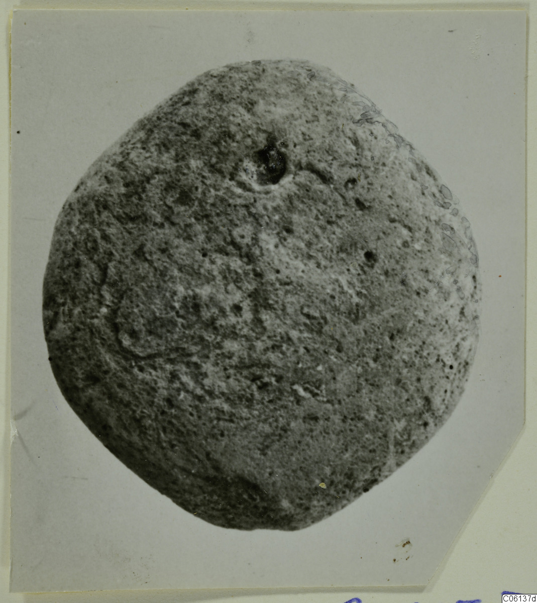 link to gallery
