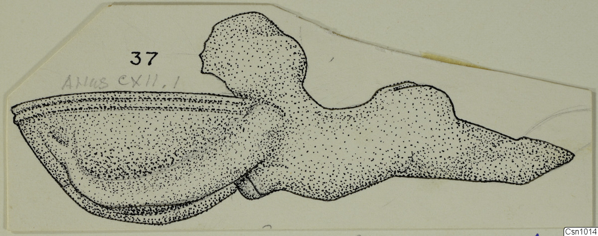 link to gallery